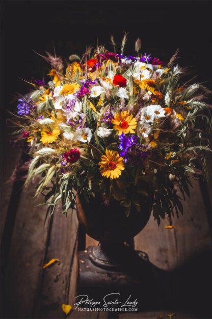 Composition florale réalisée avec l'aide de l'IA intelligence artificielle générative de Photoshop