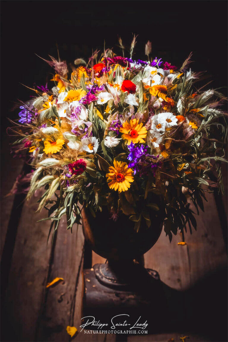 Composition florale réalisée avec l'aide de l'IA intelligence artificielle générative de Photoshop