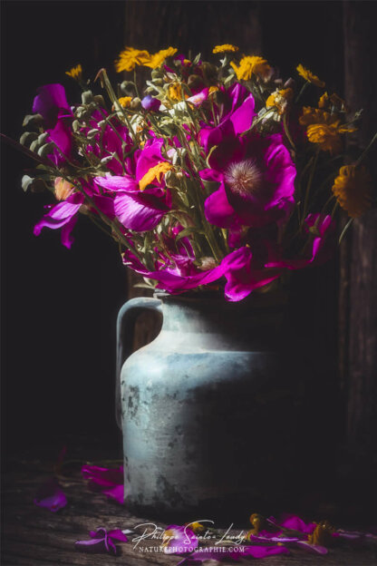 Composition florale réalisée avec l'aide de l'IA intelligence artificielle générative de Photoshop