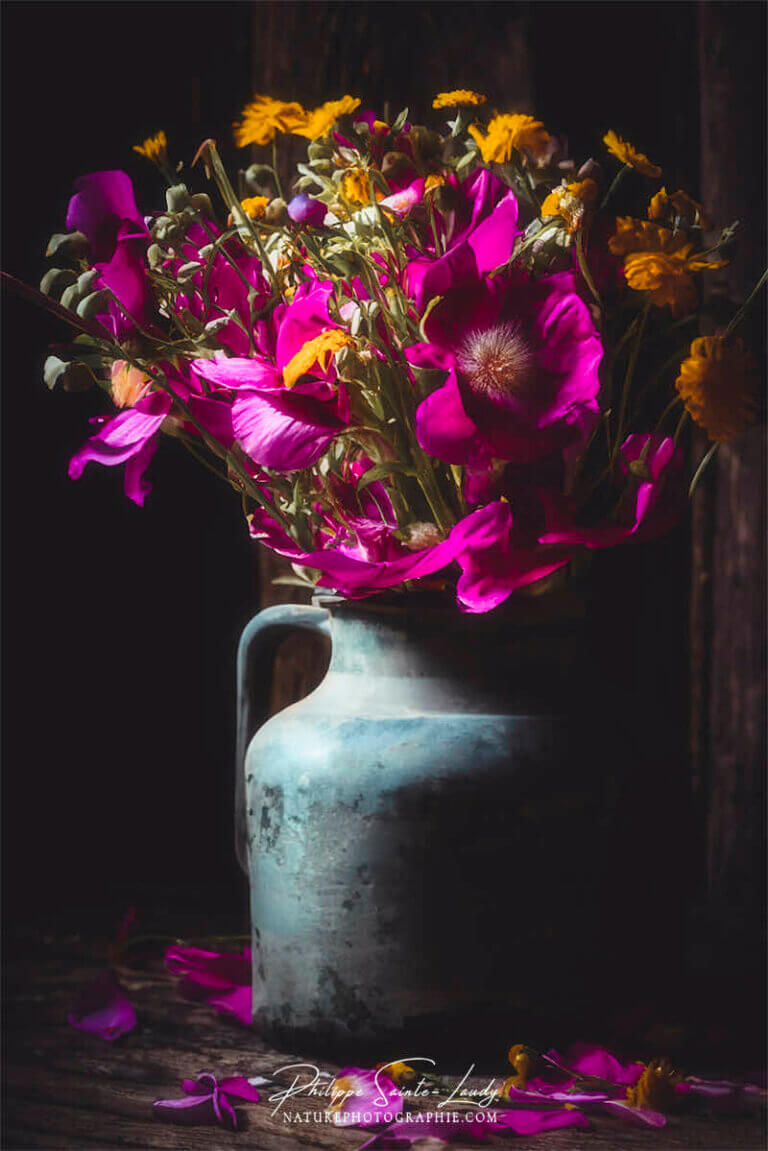 Composition florale réalisée avec l'aide de l'IA intelligence artificielle générative de Photoshop