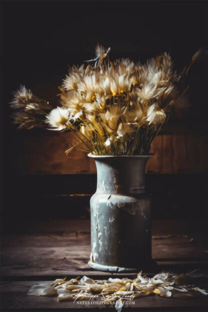 Composition florale réalisée avec l'aide de l'IA intelligence artificielle générative de Photoshop