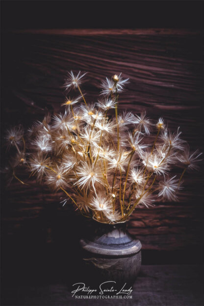 Composition florale réalisée avec l'aide de l'IA intelligence artificielle générative de Photoshop