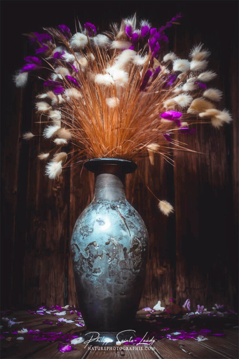 Composition florale réalisée avec l'aide de l'IA intelligence artificielle générative de Photoshop