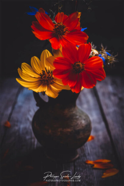 Composition florale réalisée avec l'aide de l'IA intelligence artificielle générative de Photoshop