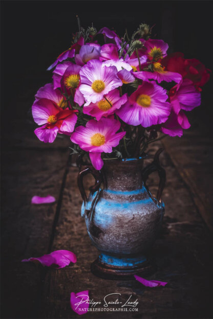 Composition florale réalisée avec l'aide de l'IA intelligence artificielle générative de Photoshop