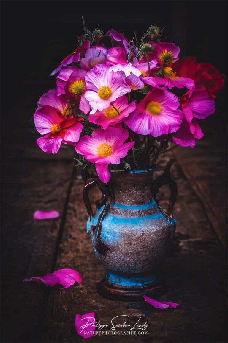 Composition florale réalisée avec l'aide de l'IA intelligence artificielle générative de Photoshop