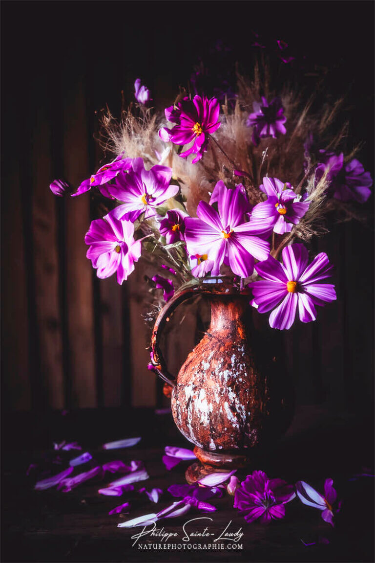 Composition florale réalisée avec l'aide de l'IA intelligence artificielle générative de Photoshop