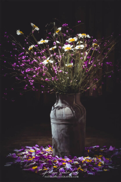 Composition florale réalisée avec l'aide de l'IA intelligence artificielle générative de Photoshop