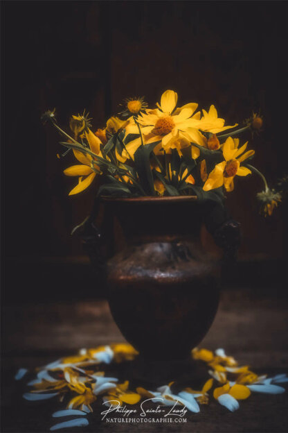 Composition florale réalisée avec l'aide de l'IA intelligence artificielle générative de Photoshop