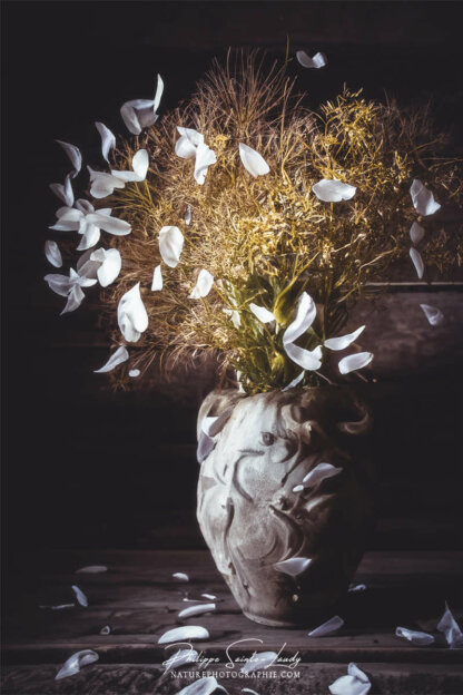 Composition florale réalisée avec l'aide de l'IA intelligence artificielle générative de Photoshop