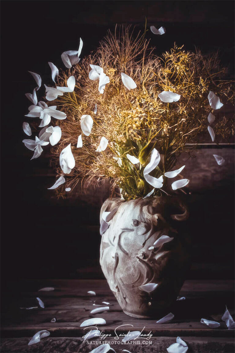 Composition florale réalisée avec l'aide de l'IA intelligence artificielle générative de Photoshop