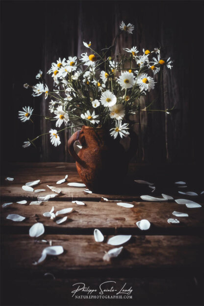 Composition florale réalisée avec l'aide de l'IA intelligence artificielle générative de Photoshop