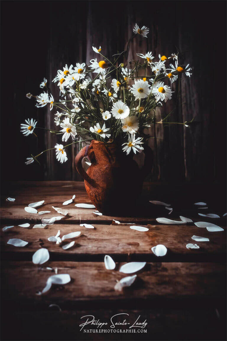 Composition florale réalisée avec l'aide de l'IA intelligence artificielle générative de Photoshop