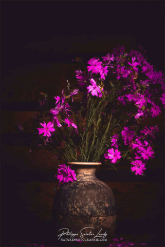 Composition florale réalisée avec l'aide de l'IA intelligence artificielle générative de Photoshop