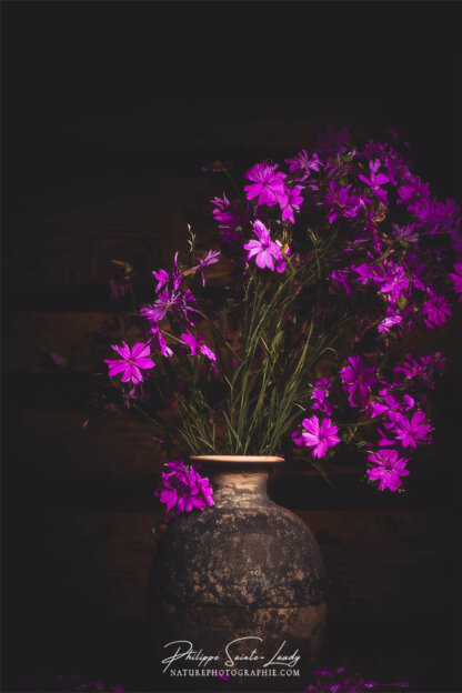 Composition florale réalisée avec l'aide de l'IA intelligence artificielle générative de Photoshop