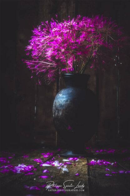 Composition florale réalisée avec l'aide de l'IA intelligence artificielle générative de Photoshop