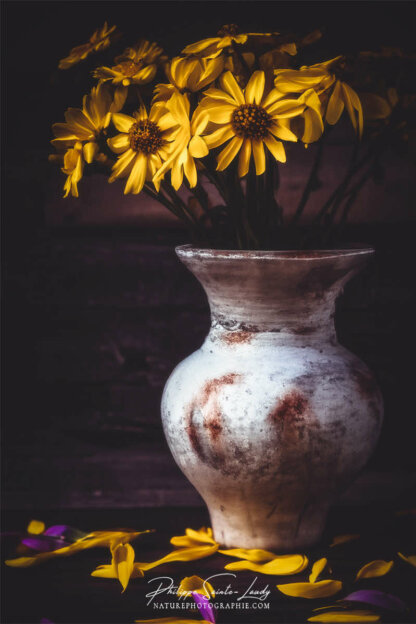 Composition florale réalisée avec l'aide de l'IA intelligence artificielle générative de Photoshop