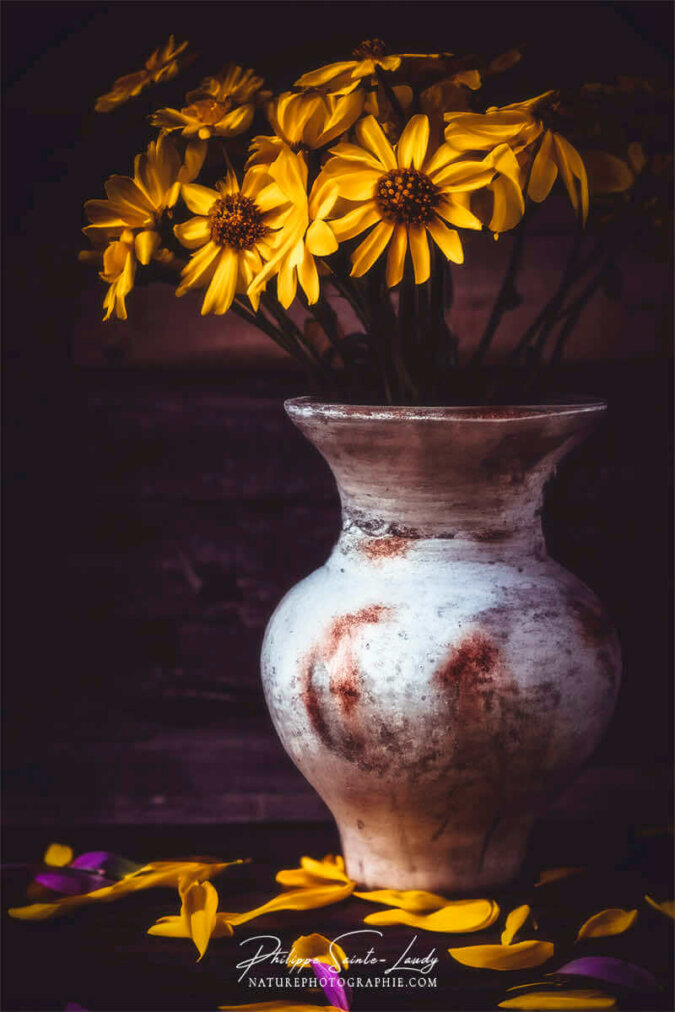 IA Collection – Floral composition #29 Composition florale réalisée avec l'aide de l'IA intelligence artificielle générative de Photoshop