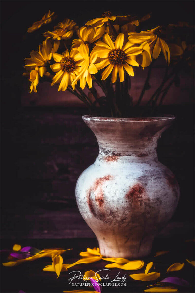 Composition florale réalisée avec l'aide de l'IA intelligence artificielle générative de Photoshop