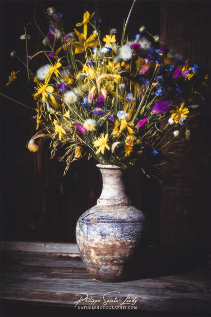 Composition florale réalisée avec l'aide de l'IA intelligence artificielle générative de Photoshop