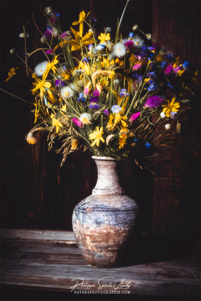 Composition florale réalisée avec l'aide de l'IA intelligence artificielle générative de Photoshop