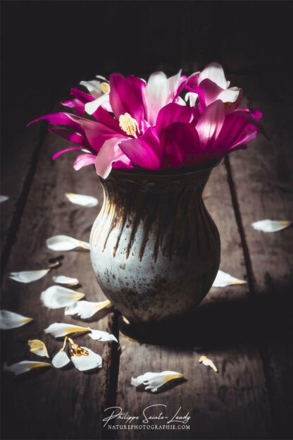 Composition florale réalisée avec l'aide de l'IA intelligence artificielle générative de Photoshop