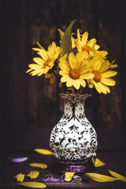 Composition florale réalisée avec l'aide de l'IA intelligence artificielle générative de Photoshop