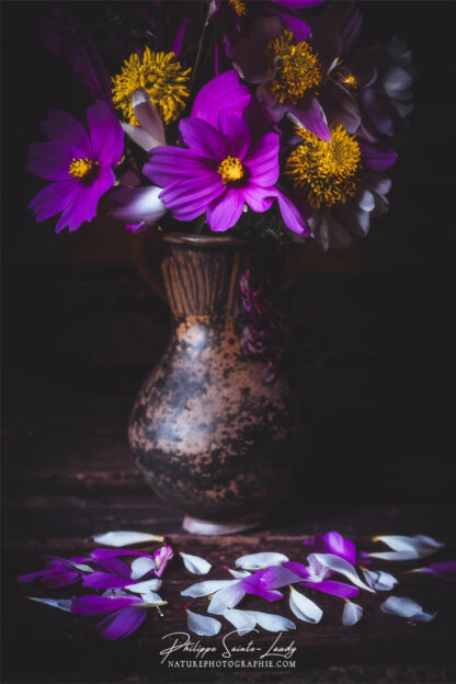 Composition florale réalisée avec l'aide de l'IA intelligence artificielle générative de Photoshop