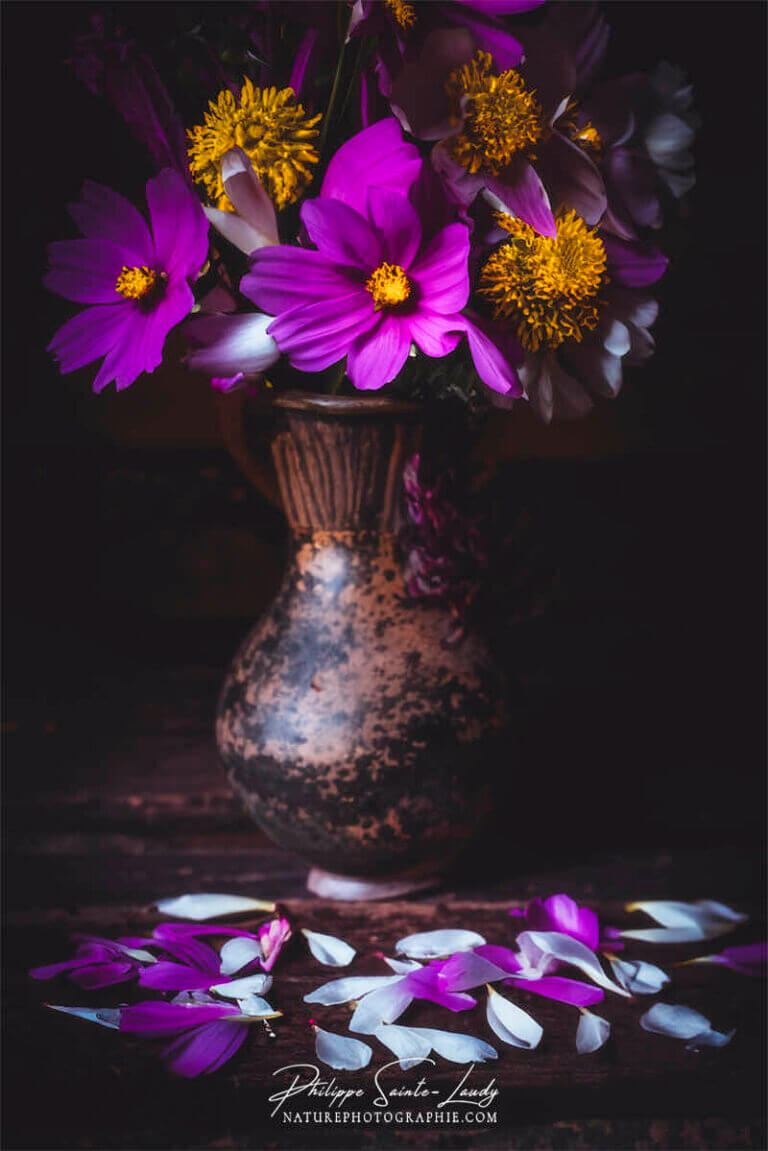 Composition florale réalisée avec l'aide de l'IA intelligence artificielle générative de Photoshop