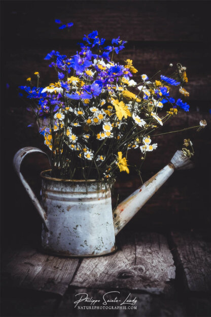 Composition florale réalisée avec l'aide de l'IA intelligence artificielle générative de Photoshop