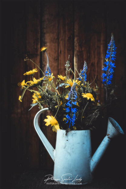 Composition florale réalisée avec l'aide de l'IA intelligence artificielle générative de Photoshop