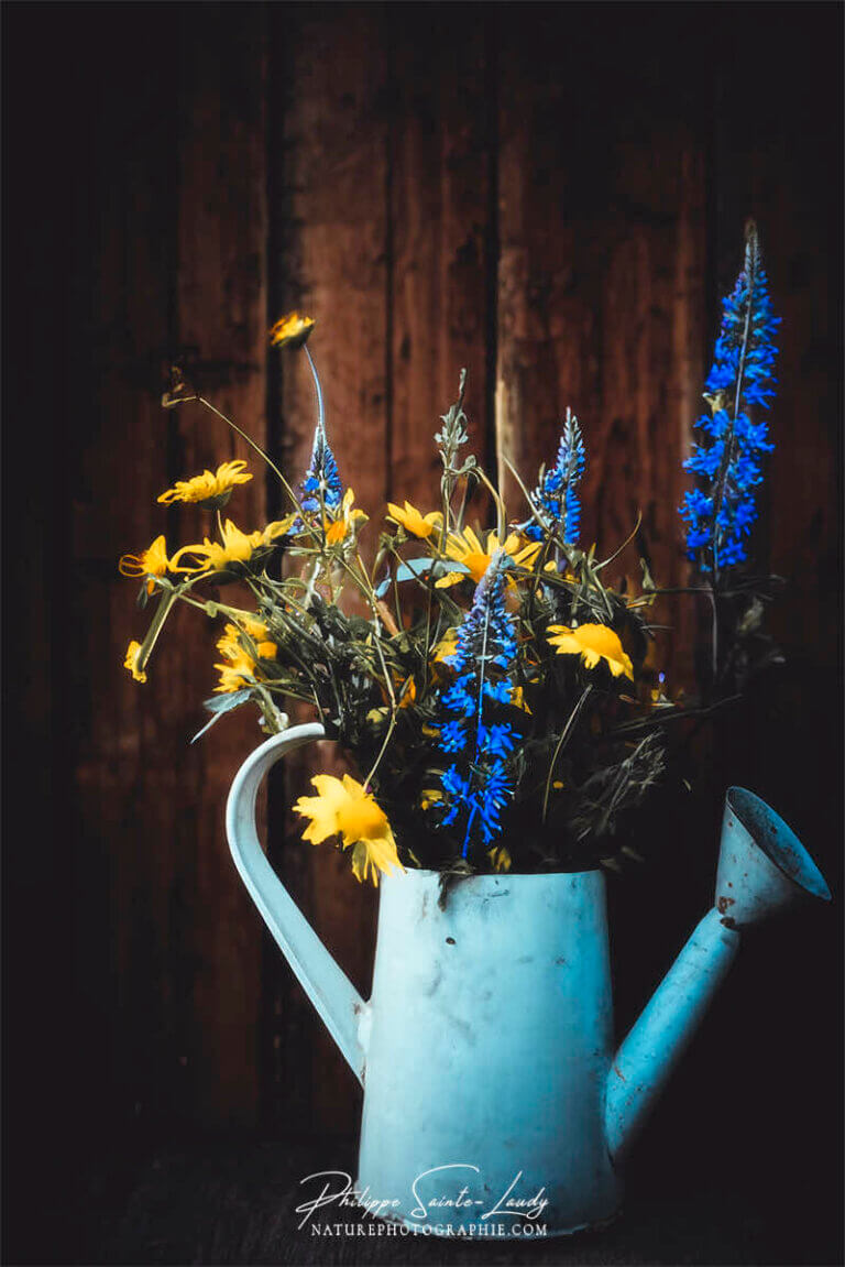 Composition florale réalisée avec l'aide de l'IA intelligence artificielle générative de Photoshop