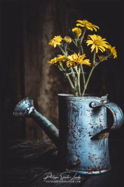 Composition florale réalisée avec l'aide de l'IA intelligence artificielle générative de Photoshop