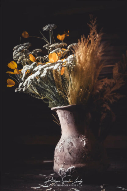 Composition florale réalisée avec l'aide de l'IA intelligence artificielle générative de Photoshop