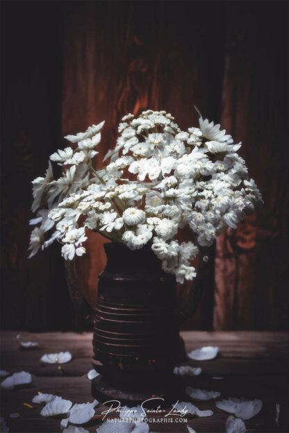 Composition florale réalisée avec l'aide de l'IA intelligence artificielle générative de Photoshop