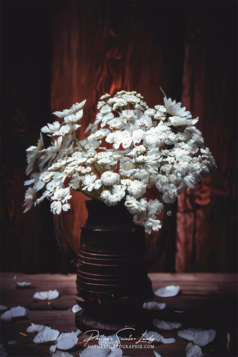 Composition florale réalisée avec l'aide de l'IA intelligence artificielle générative de Photoshop