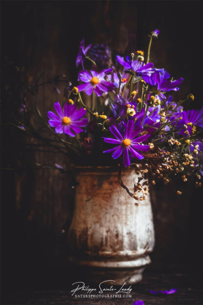 Composition florale réalisée avec l'aide de l'IA intelligence artificielle générative de Photoshop