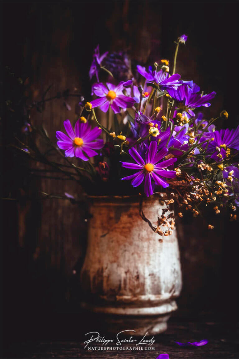 Composition florale réalisée avec l'aide de l'IA intelligence artificielle générative de Photoshop