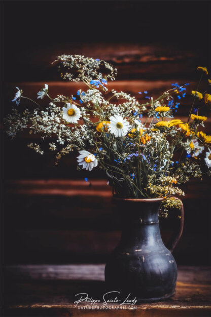 Composition florale réalisée avec l'aide de l'IA intelligence artificielle générative de Photoshop