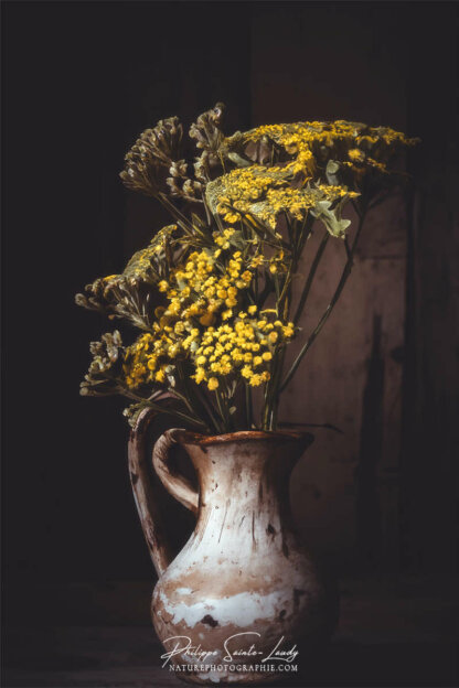 Composition florale réalisée avec l'aide de l'IA intelligence artificielle générative de Photoshop