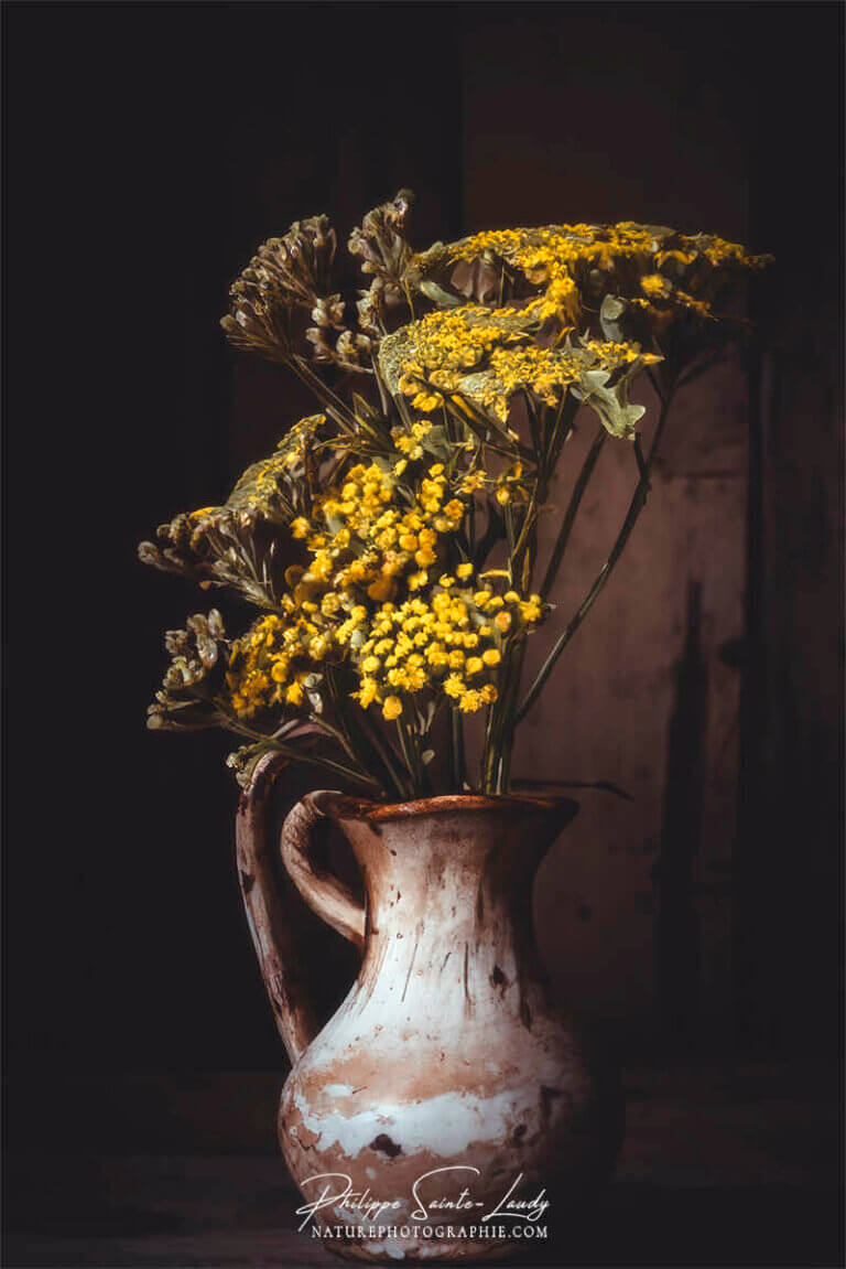 Composition florale réalisée avec l'aide de l'IA intelligence artificielle générative de Photoshop