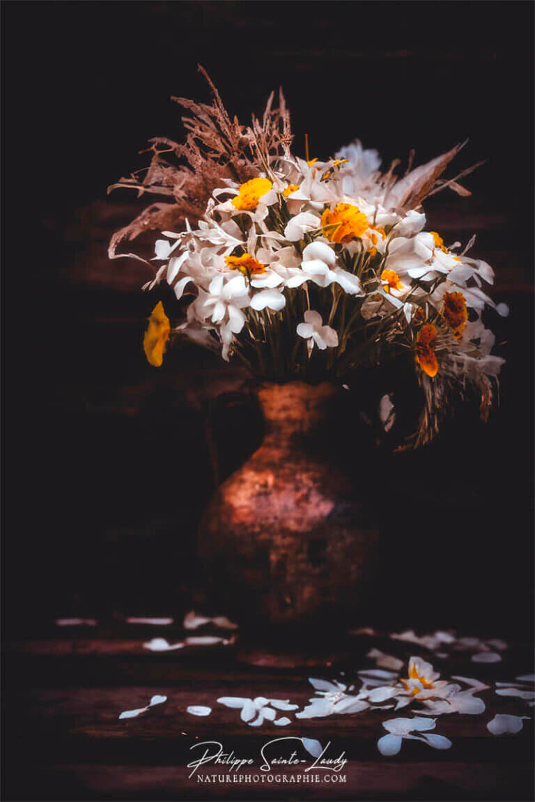 Composition florale réalisée avec l'aide de l'IA intelligence artificielle générative de Photoshop