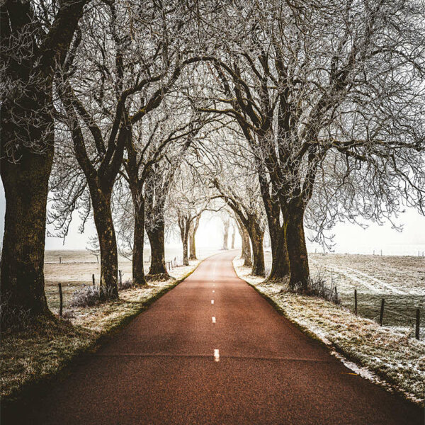 Wintertime Stories Route de campagne en hiver