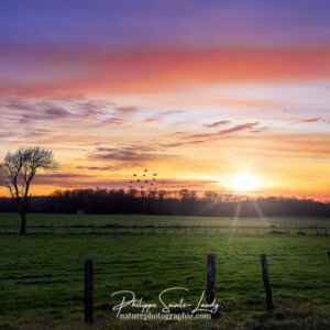 Ask Your Soul Coucher de soleil dans le Jura
