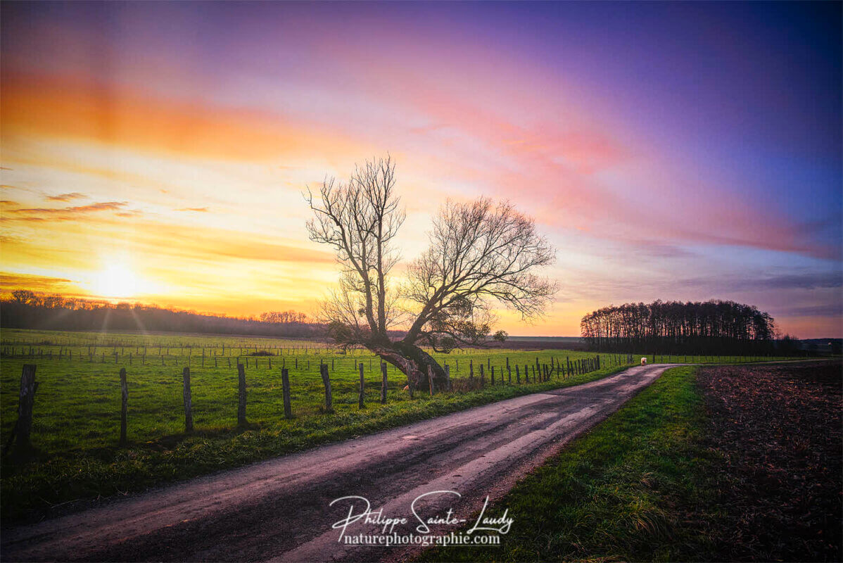 Balade au coucher de soleil