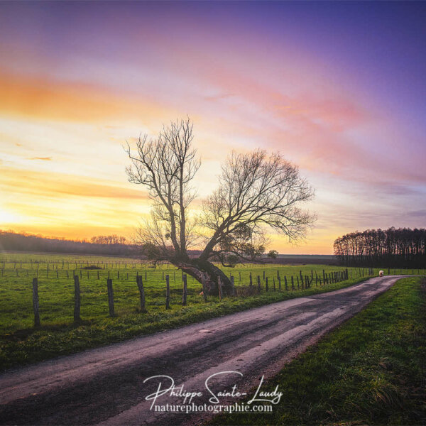 Shine On You Balade au coucher de soleil