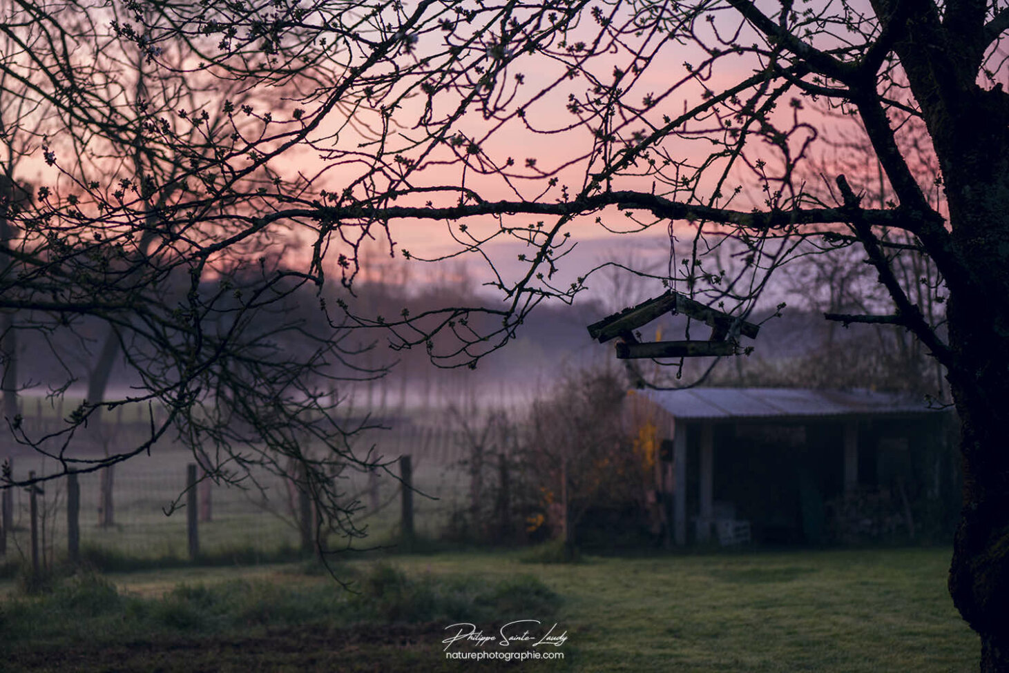 L'aube dans la campagne Jurassienne