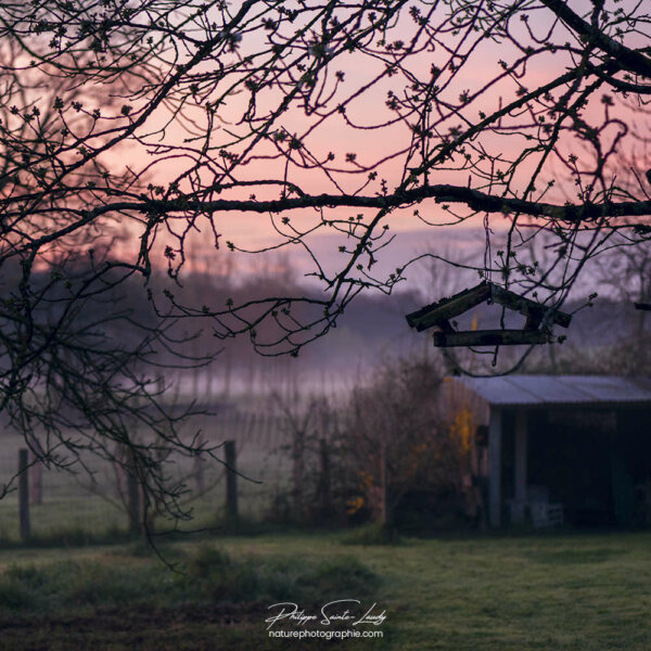 L'aube dans la campagne Jurassienne