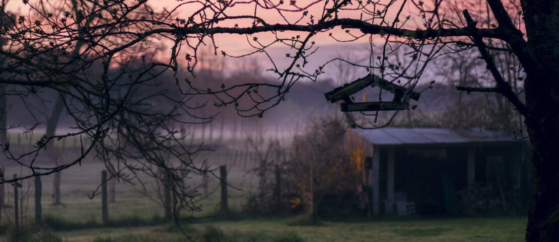 Lever du jour dans le Jura