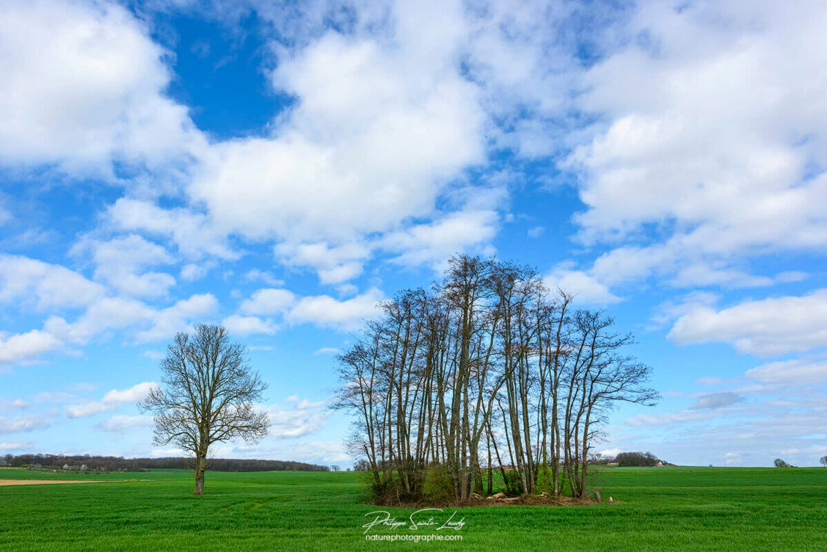 Printemps à la campagne